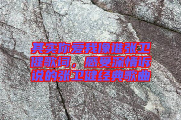 其實(shí)你愛我像誰張衛(wèi)健歌詞，感受深情訴說的張衛(wèi)健經(jīng)典歌曲