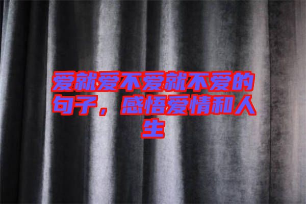 愛就愛不愛就不愛的句子，感悟愛情和人生