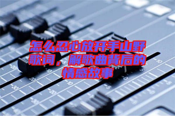 怎么忍心放開手山野歌詞，解歌曲背后的情感故事