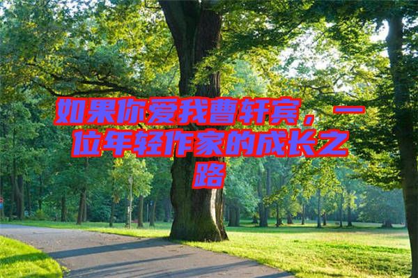 如果你愛我曹軒賓，一位年輕作家的成長之路