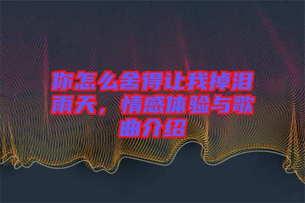 你怎么舍得讓我掉淚雨天，情感體驗(yàn)與歌曲介紹