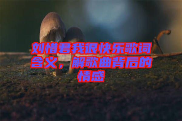 劉惜君我很快樂歌詞含義，解歌曲背后的情感