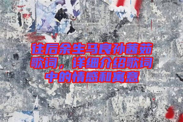 往后余生馬良孫茜茹歌詞，詳細(xì)介紹歌詞中的情感和寓意