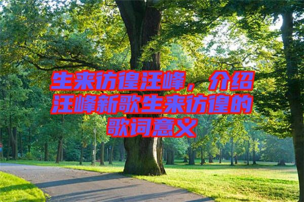 生來彷徨汪峰，介紹汪峰新歌生來彷徨的歌詞意義