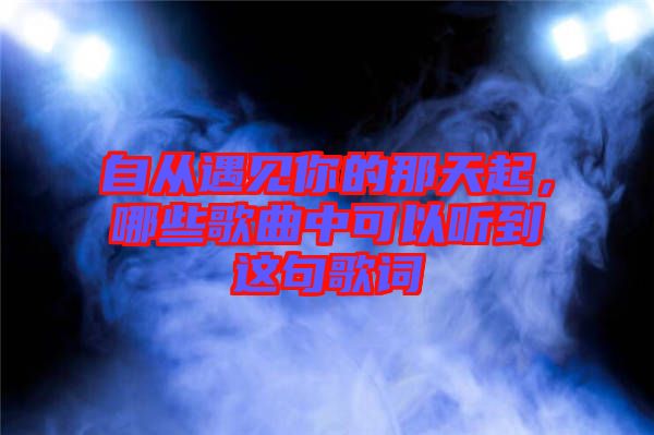 自從遇見你的那天起，哪些歌曲中可以聽到這句歌詞