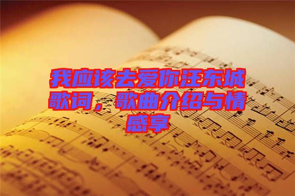 我應(yīng)該去愛你汪東城歌詞，歌曲介紹與情感享