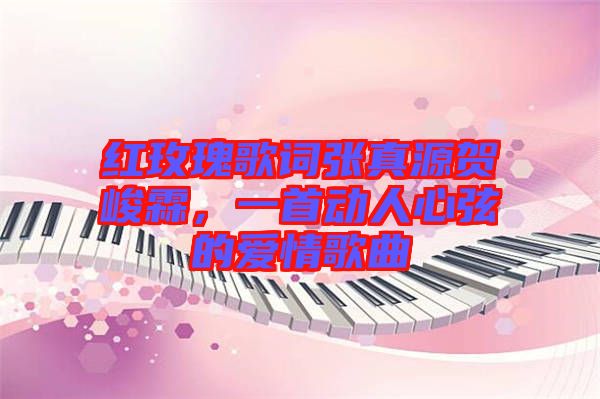 紅玫瑰歌詞張真源賀峻霖，一首動人心弦的愛情歌曲