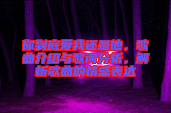 你到底愛(ài)我還是他，歌曲介紹與歌詞分析，解析歌曲的情感表達(dá)