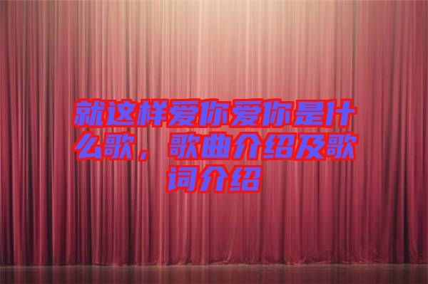 就這樣愛你愛你是什么歌，歌曲介紹及歌詞介紹