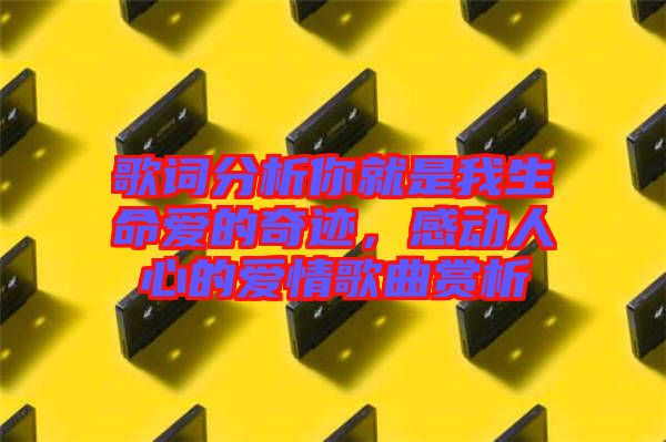 歌詞分析你就是我生命愛的奇跡，感動人心的愛情歌曲賞析