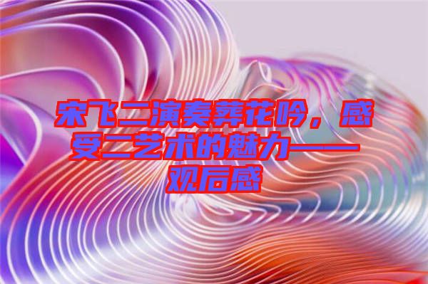 宋飛二演奏葬花吟，感受二藝術(shù)的魅力——觀后感