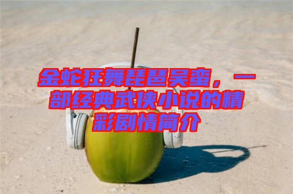 金蛇狂舞琵琶吳蠻，一部經(jīng)典武俠小說的精彩劇情簡介