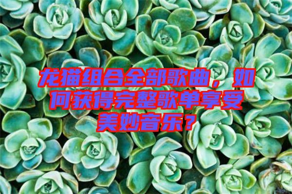 龍貓組合全部歌曲，如何獲得完整歌單享受美妙音樂？