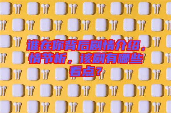 誰在你背后劇情介紹，情節(jié)析，該劇有哪些看點(diǎn)？