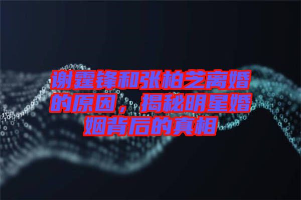 謝霆鋒和張柏芝離婚的原因，揭秘明星婚姻背后的真相