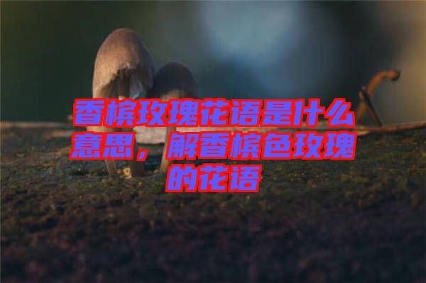 香檳玫瑰花語是什么意思，解香檳色玫瑰的花語