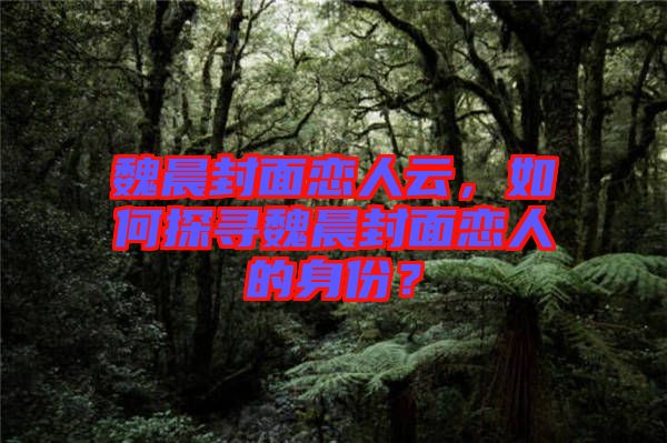 魏晨封面戀人云，如何探尋魏晨封面戀人的身份？