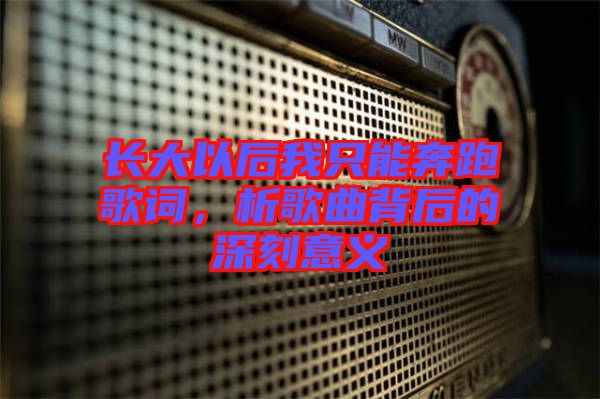 長大以后我只能奔跑歌詞，析歌曲背后的深刻意義