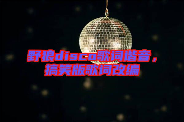 野狼disco歌詞諧音，搞笑版歌詞改編